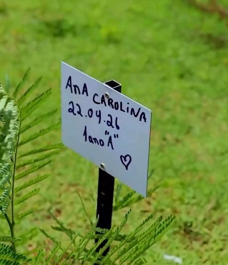 Xinguara investe em educação ambiental com plantio de mudas no Jardim do Lago
