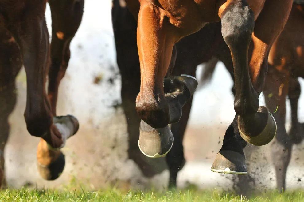 É amanhã: 1ª Corrida de Prado de Pacajá terá R$ 30 mil em premiações