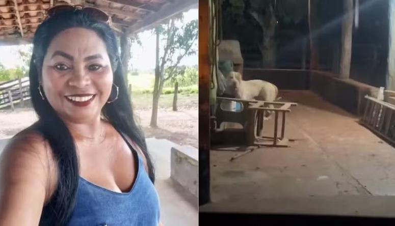 Mulher morta em ataque de pitbull no Maranhão tem casa periciada pela polícia