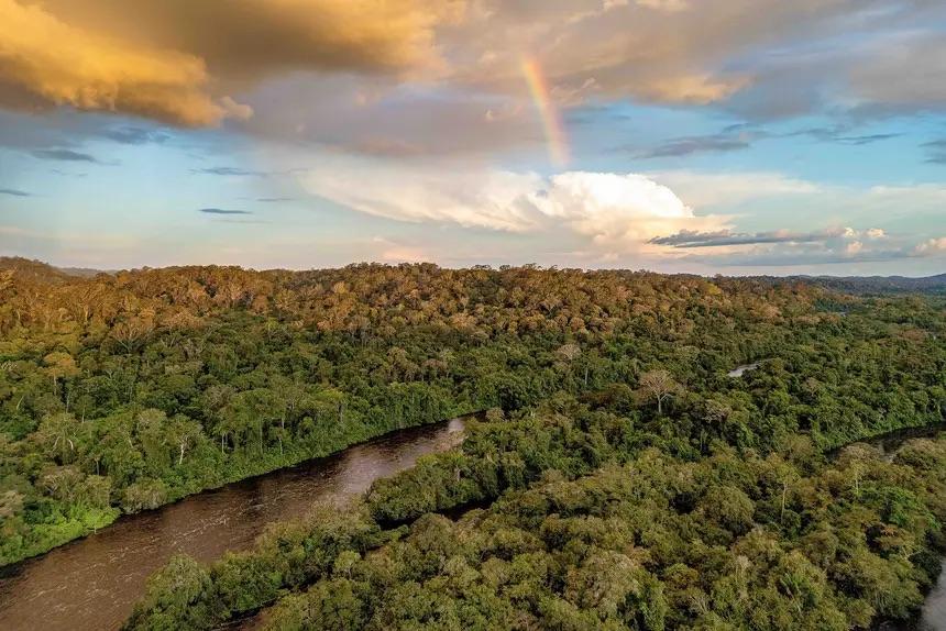 Pará consolida maior concessão para manejo florestal sustentável do Brasil