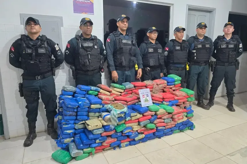 Polícia Militar apreende mais de 460 kg de maconha em São Domingos do Araguaia