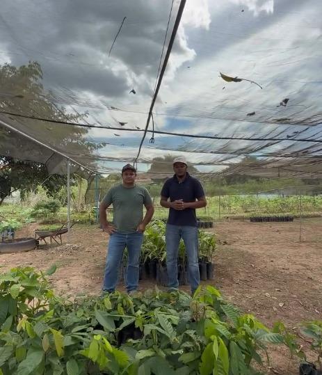 Bannach celebra Dia Mundial do Meio Ambiente com distribuição de mudas frutíferas