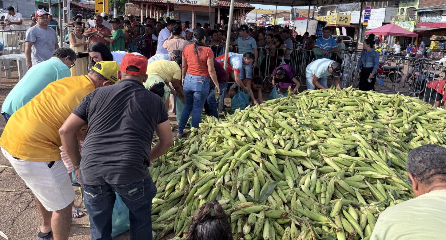 Com distribuição de 300 mil espigas, Festival do Milho é sucesso em Goianésia do Pará