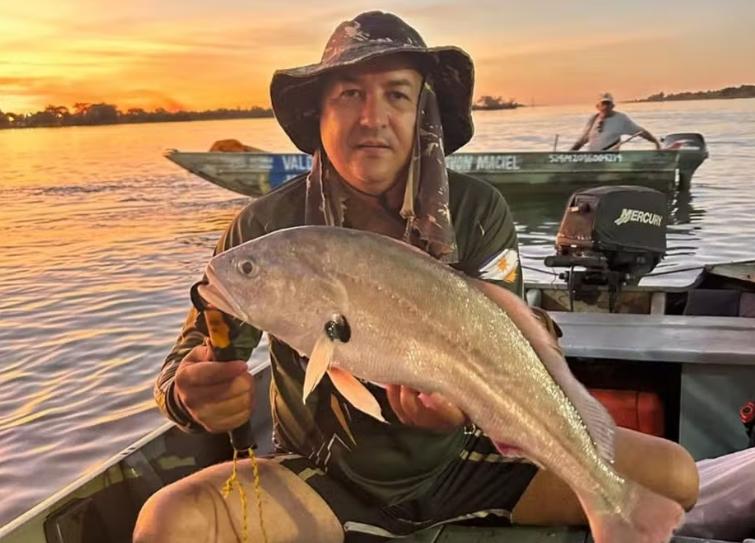 Major da PM morre após ataque de enxame de abelhas durante pescaria no Tocantins