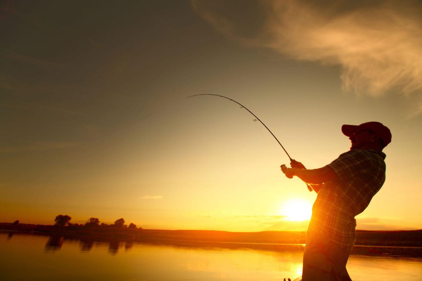 Piçarra: pesca na área do TORPEP fica proibida a partir de 5 de junho