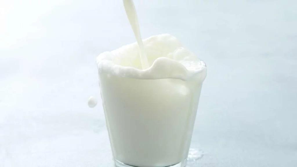 Açúcar ou proteína? Entenda por que intolerância à lactose e alergia ao leite não são a mesma coisa