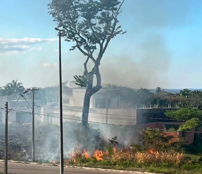 Após incêndio, castanheira de 70 anos segue queimando por dentro em Marabá