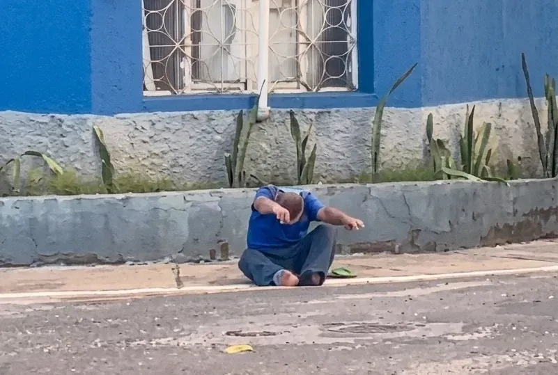 Ataque de abelhas deixa três feridos em Tucuruí