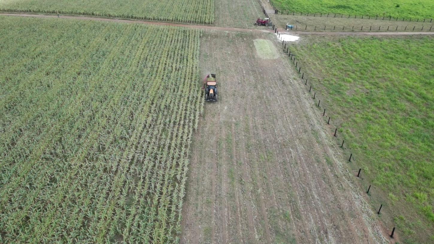 Canaã dos Carajás publica edital do Procampo com mais de 300 vagas