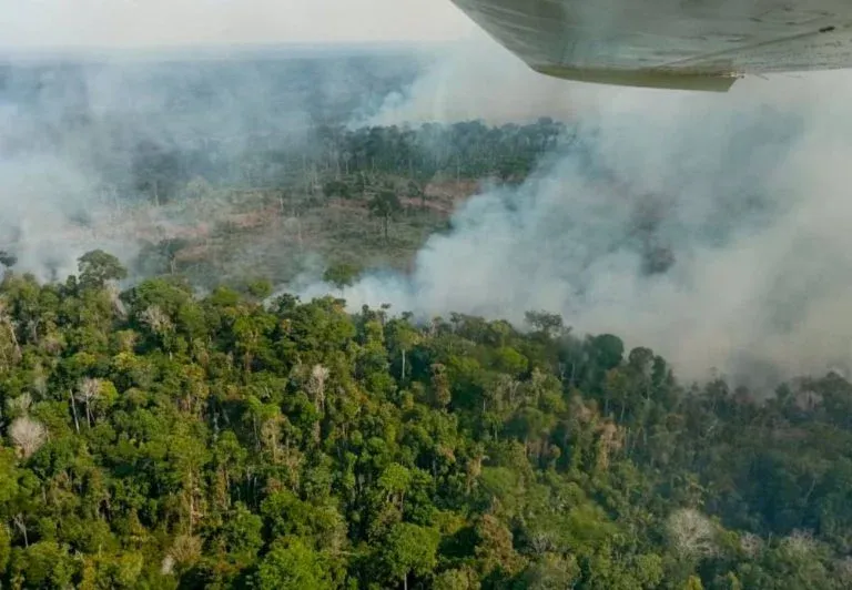 El Niño coloca Pará em alerta para seca prolongada e aumento do risco de queimadas