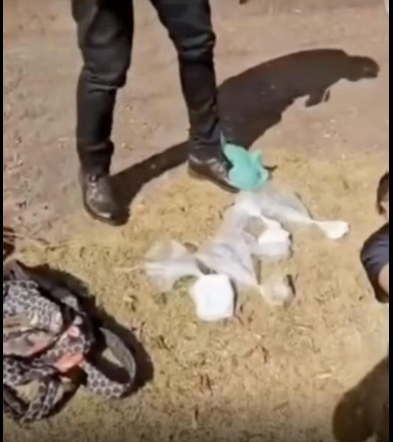 Homem é preso com drogas em van de passageiros em São Geraldo