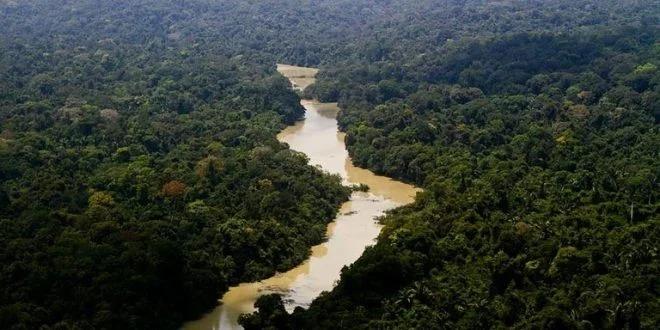 Vitória do agronegócio: Senado reduz 40% de Floresta Nacional em Novo Progresso e Itaituba