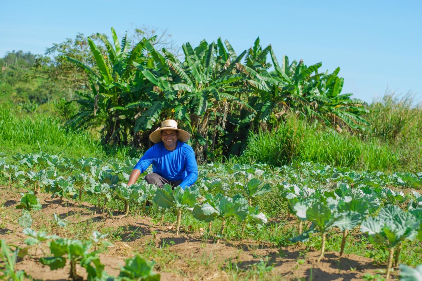 Agricultura familiar vai abastecer a merenda escolar de Parauapebas