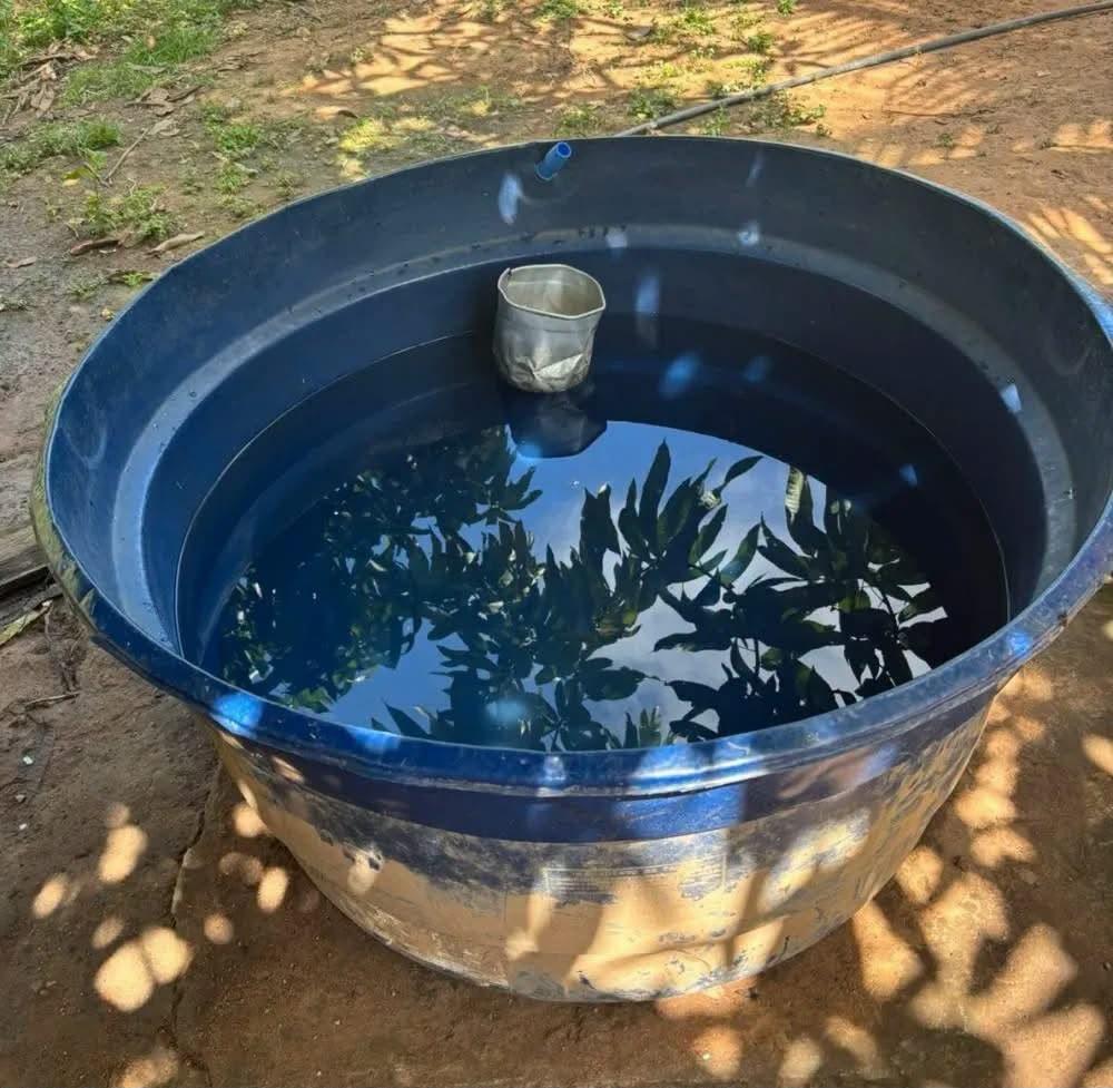 Bebê de 11 meses é encontrado morto dentro de caixa d’água em Uruará