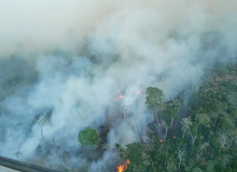Governo do Pará decreta alerta climático preventivo ao El Niño para enfrentar seca e queimadas