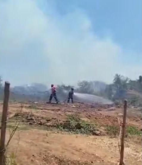Imperatriz: incêndio em vegetação ameaça casas no Parque das Mansões