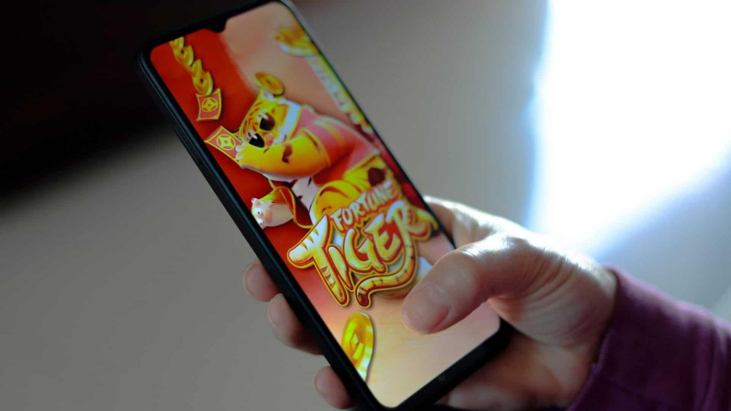 Palmas: nove pessoas são denunciadas por esquema com ‘Jogo do Tigrinho’