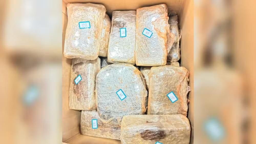 Polícia intercepta carro com 47 tabletes de ‘supermaconha’ em Santarém 