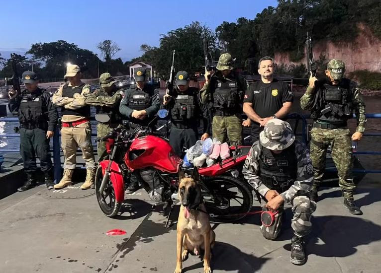 Santarém: cão farejador acha 5 kg de drogas em tanque de moto