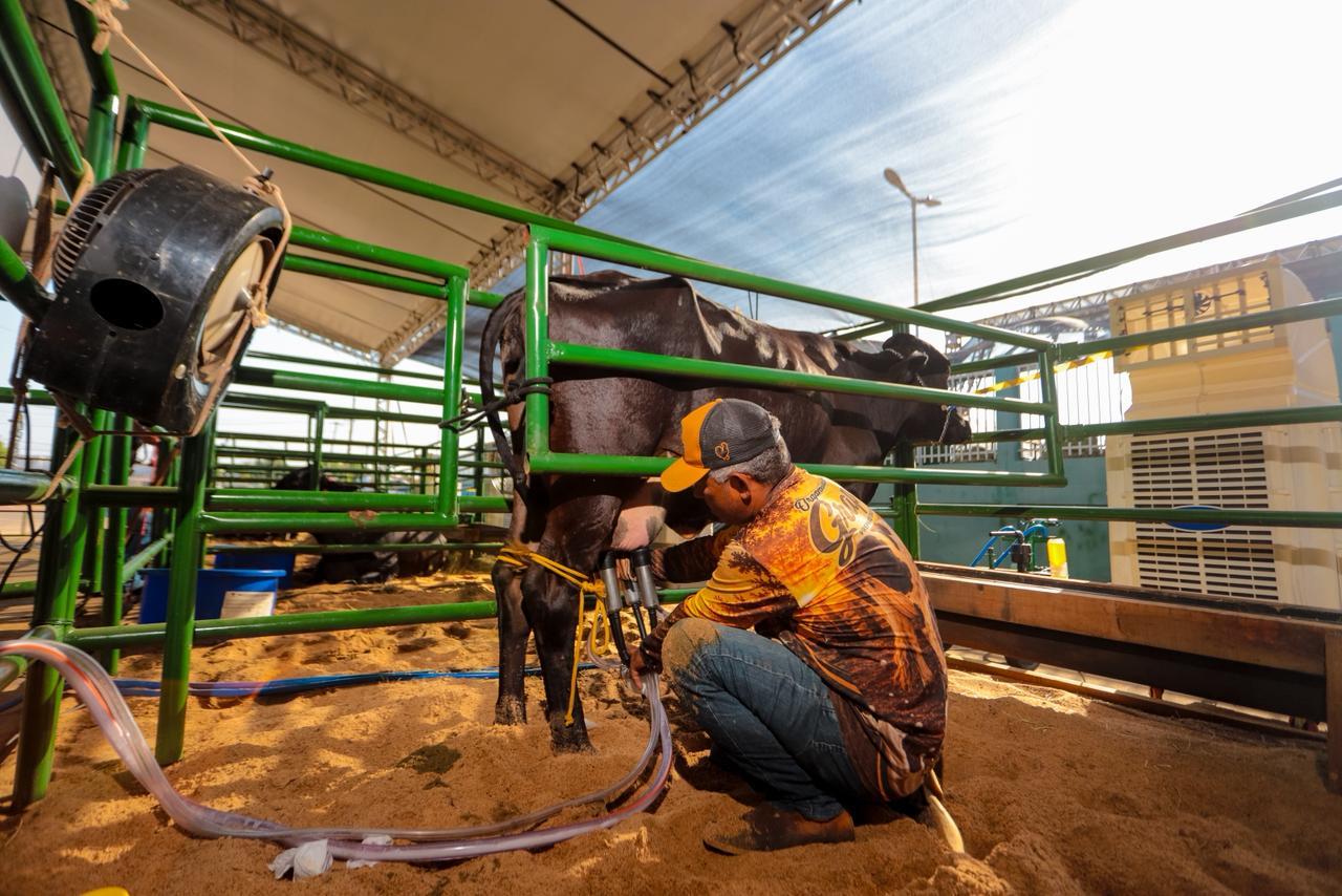 Canaã dos Carajás recebe 2º Torneio Leiteiro durante a 11ª ExpoCanaã