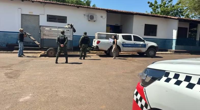 Cavalos são resgatados após denúncia de maus-tratos em Santarém