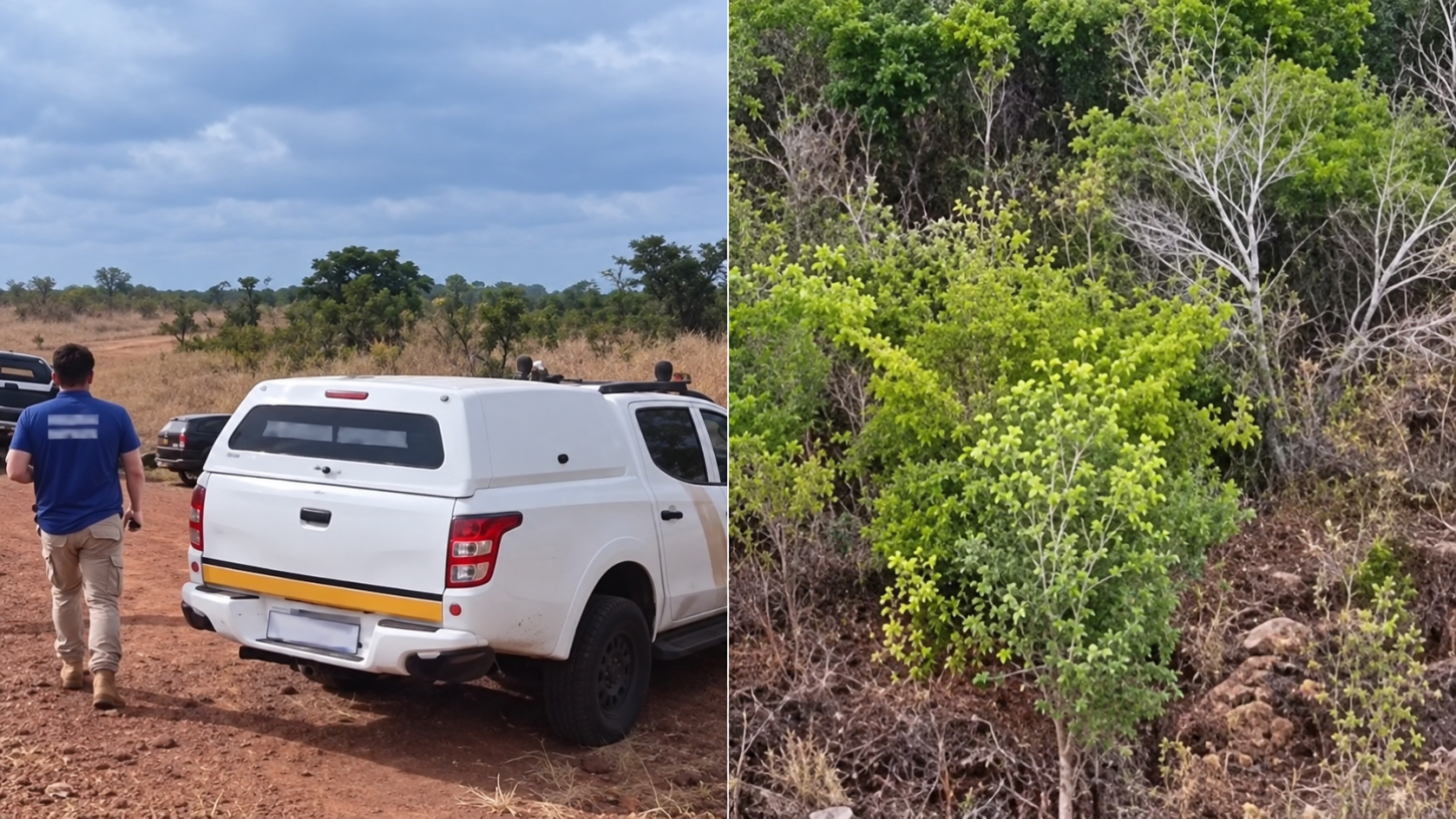Ossada é achada em área de mata na zona rural de Balsas, no Maranhão