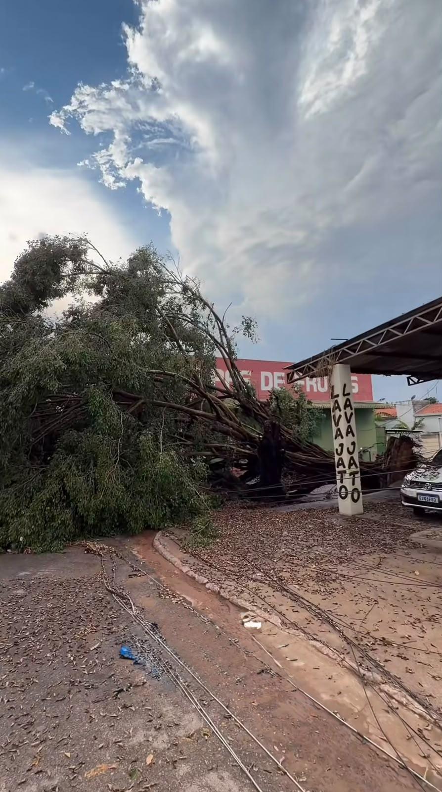 Prefeitura de Xinguara mobiliza equipes após fortes chuvas e ventanias