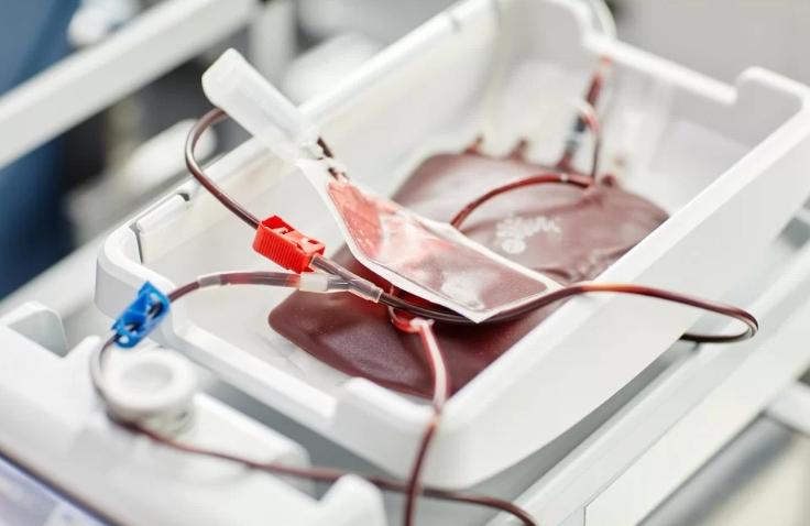 Testemunhas de Jeová mudam regra sobre sangue e passam a permitir doação e recebimento de componentes