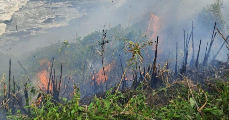 Adolescente é suspeito de atear fogo em vegetação e é levado à delegacia em Belterra