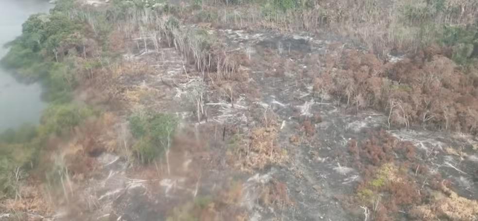 Altamira decreta emergência por incêndios florestais