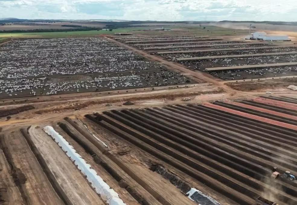 Exportações do Tocantins superam R$ 13 bilhões em 2026