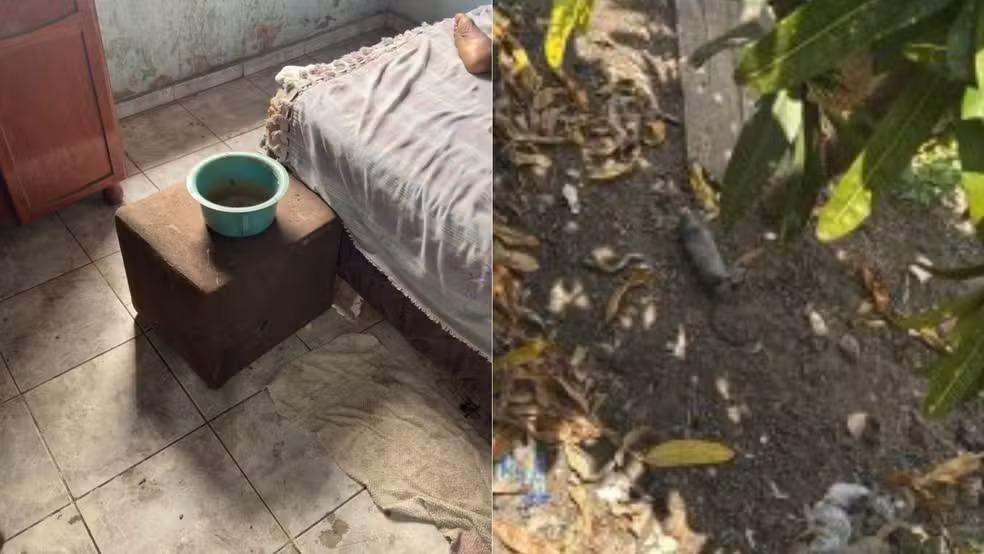 Filho é preso por suspeita de abandonar mãe de 96 anos com ratos mortos