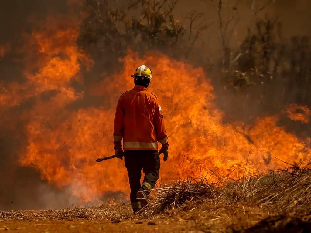 Incêndios ameaçam casas em Belterra e Juruti e mobilizam bombeiros no Pará
