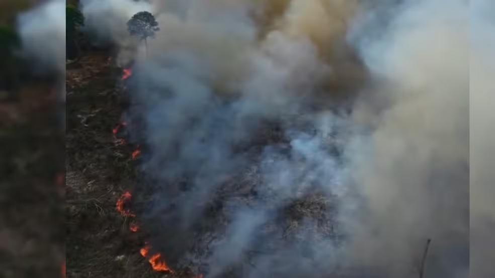 MPF recomenda criar comitê de crise após alta de incêndios no Pará