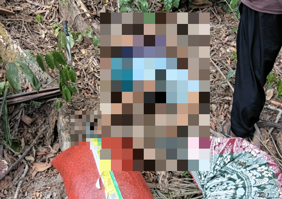 Primo é suspeito de matar homem com golpe de terçado em Anajás, no Marajó