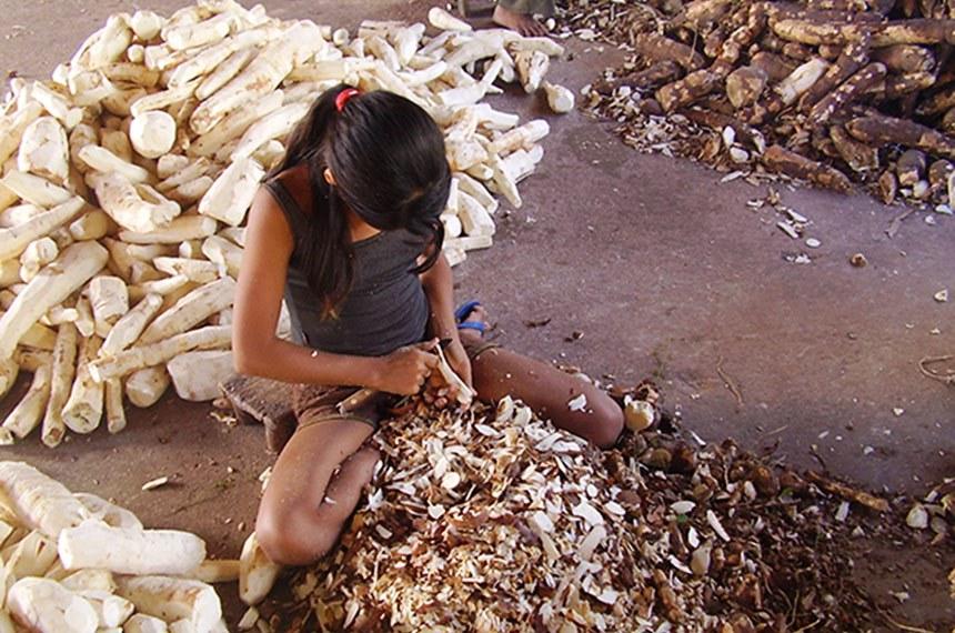Trabalho infantil cai 9,2% e atinge menor nível histórico
