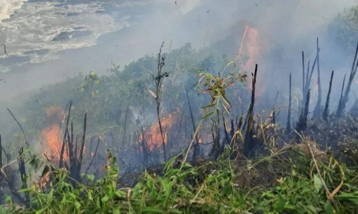 Adolescente é suspeito de atear fogo em vegetação e é levado à delegacia em Belterra