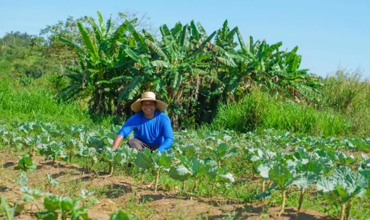 Agricultura familiar vai abastecer a merenda escolar de Parauapebas