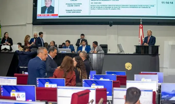 Alepa terá renovação de quase 50% após as eleições de 2026