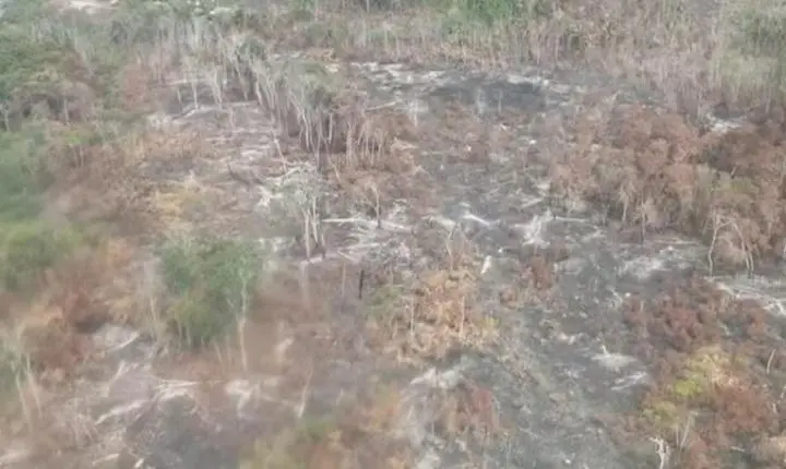 Altamira decreta emergência por incêndios florestais