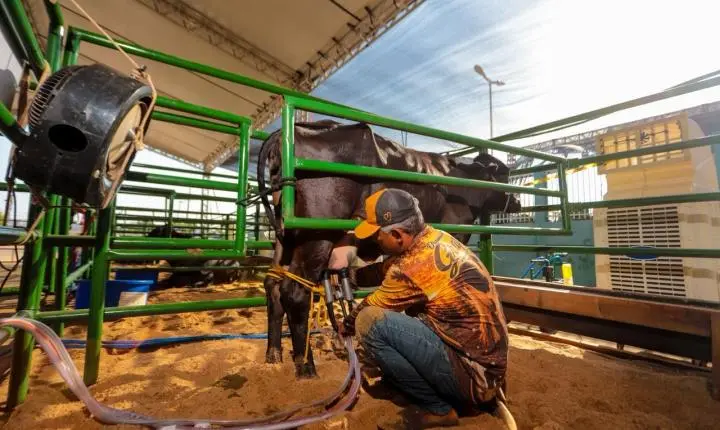 Canaã dos Carajás recebe 2º Torneio Leiteiro durante a 11ª ExpoCanaã