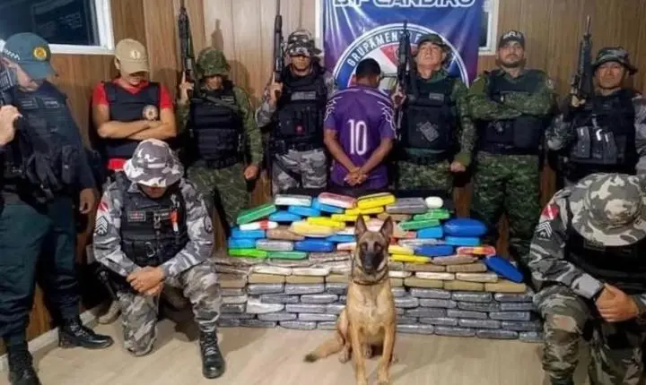 Cão farejador encontra 112 kg de drogas em navio que seguia para Santarém