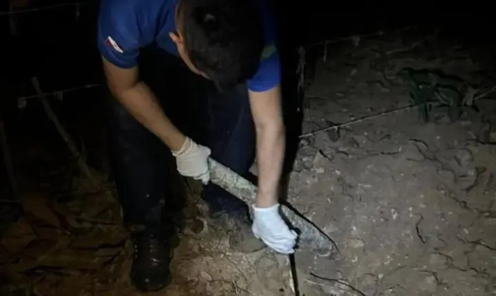 Corpo é encontrado em cova rasa às margens de córrego em Rondon do Pará