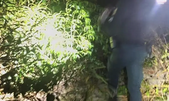 Criança de 3 anos é encontrada em área de mata após ser levada pelo tio em Placas