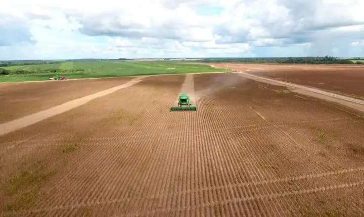 Escassez mundial de enxofre ameaça agronegócio do Pará e pode elevar custo da produção