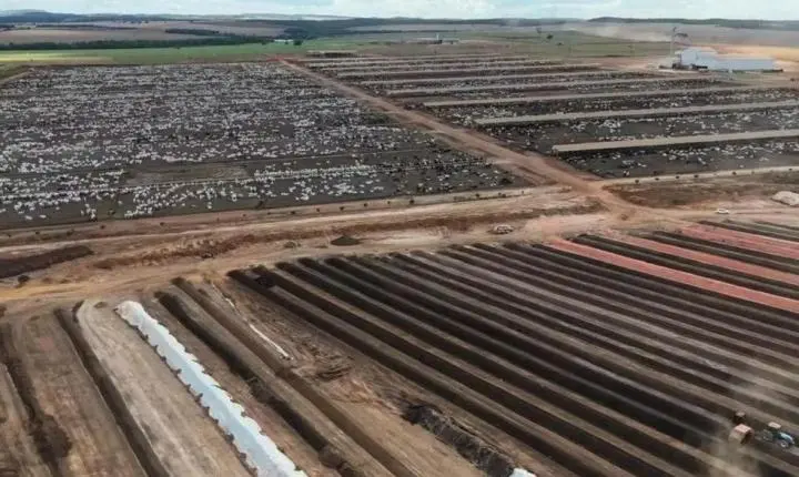 Exportações do Tocantins superam R$ 13 bilhões em 2026