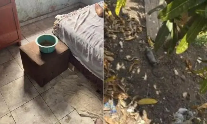 Filho é preso por suspeita de abandonar mãe de 96 anos com ratos mortos