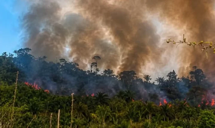 Fogo toma conta de área da Terra Indígena Apyterewa, em São Félix do Xingu