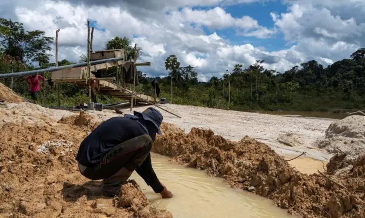 Garimpos podem migrar para mineração de pequena escala, diz estudo