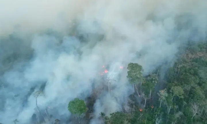 Governo do Pará decreta alerta climático preventivo ao El Niño para enfrentar seca e queimadas